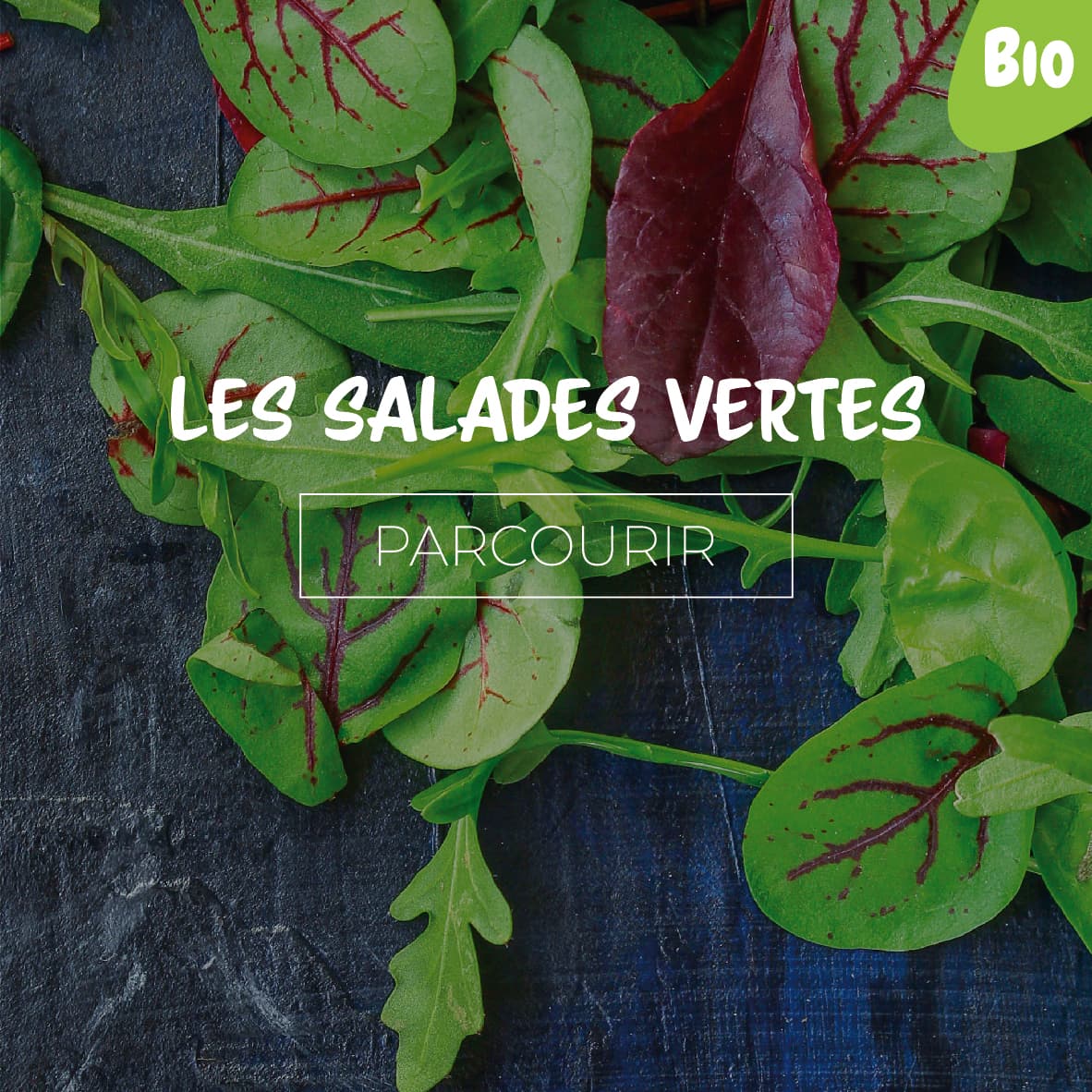 Les Salades Vertes