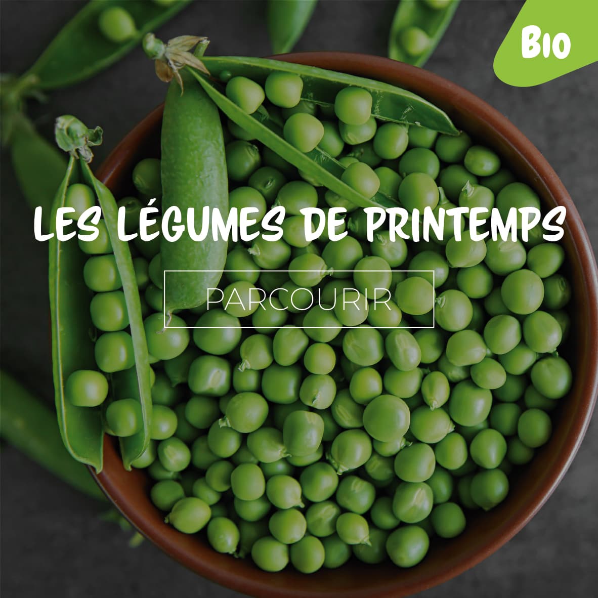 Légumes Printemps