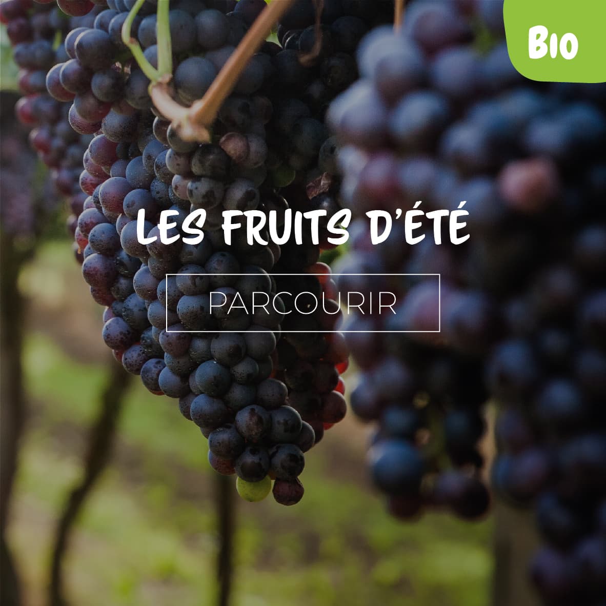 Les fruits d'été