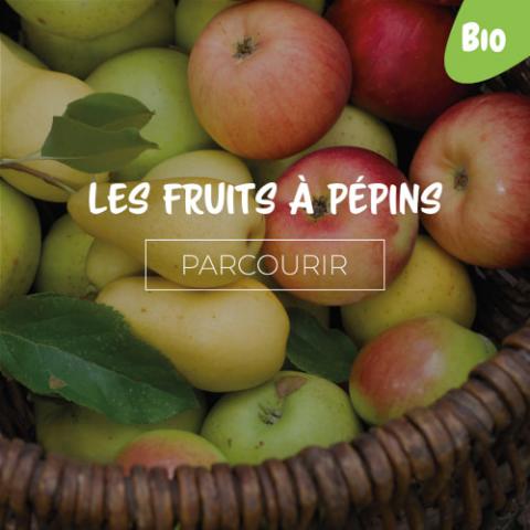 Fruits à pépins - Pommes, Poires