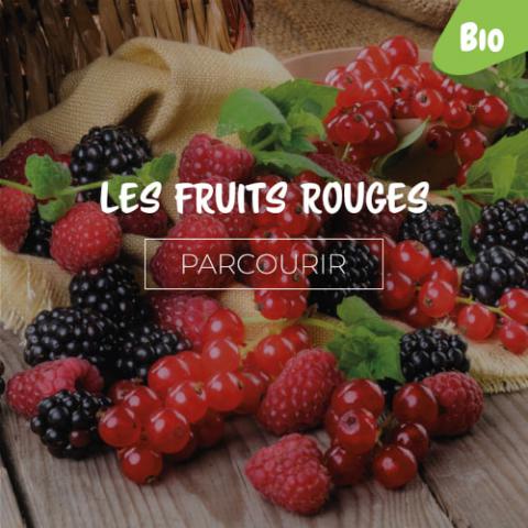 Fruits rouges